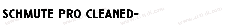 schmute pro cleaned字体转换
